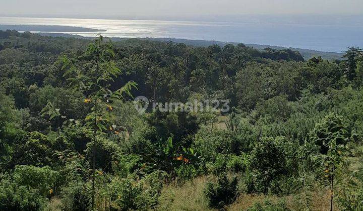 Land with Sea View in Nusa Penida Klungkung Area 2