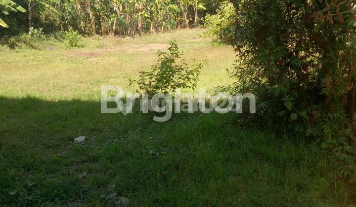 Tanah Hook area Kubutambahan Singaraja