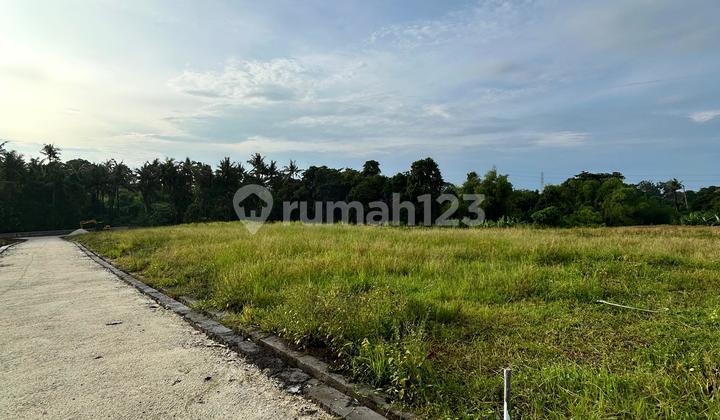 Tanah Kavling Terlaris Dekat Pantai Kedungu Tabanan
