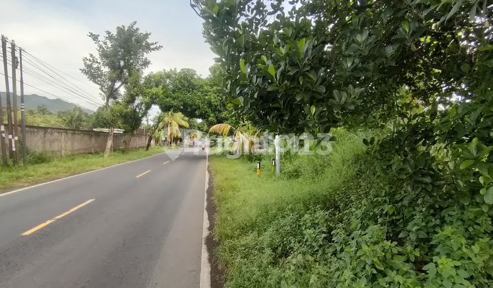TANAH PINGGIR JALAN RAYA AREA SINGARAJA  