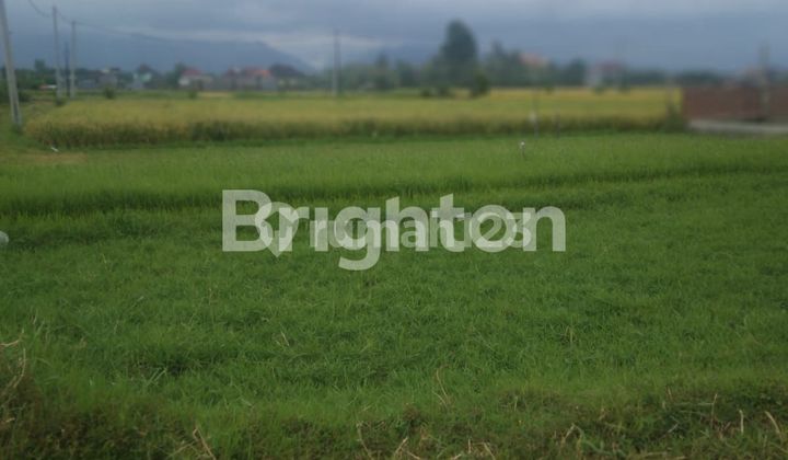 Tanah Luasan Kecil Area Negara Kota