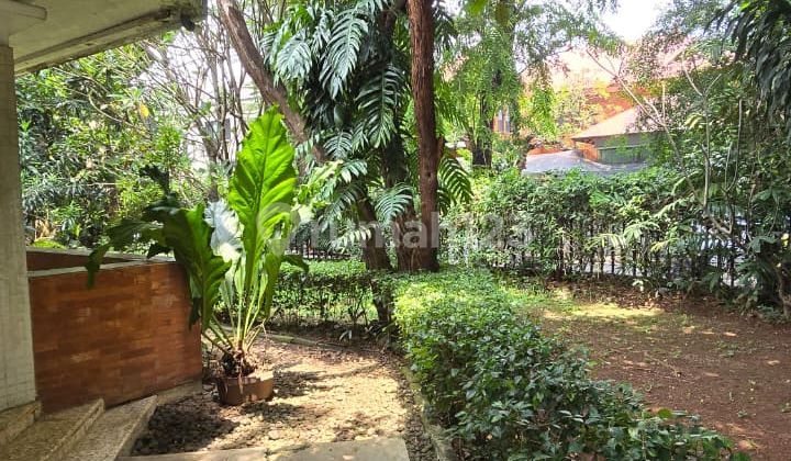 Dijual Cepat Rumah Lokasi Strategis Di Hoek Daerah Menteng Jakarta Pusat Shm 2