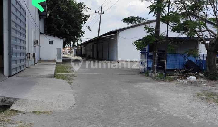 Driyorejo Gresik Grand Warehouse Strategic Location on Main Industrial Route Container Access