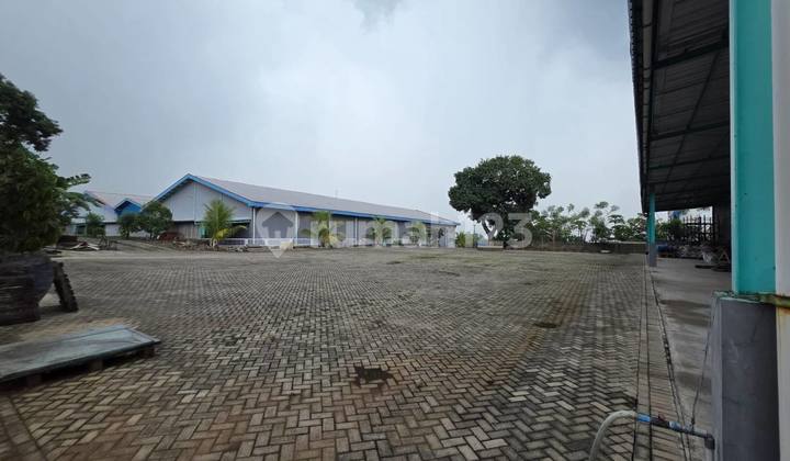 New Gress Factory / 40 Feet Container Warehouse with Spacious Parking in Pandaan Pasuruan, Near Surabaya, Sidoarjo, Gresik