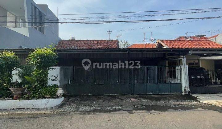 Murah Rumah Hitung Tanah di Jemur Andayani SHM on Hand Row Jalan Lebar 1