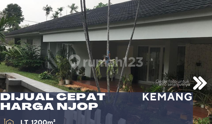 Kemang Jakarta Selatan Dijual Rumah Murah Halaman Luas Harga NJOP