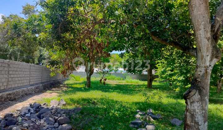 Freehold Plot For Sale - Batur Sari Area, Sanur