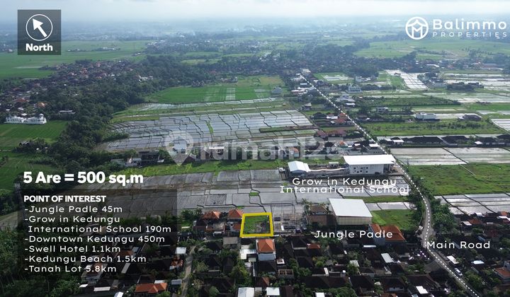 Premium 5 Are Leasehold Land In Kedungu - Steps From Jungle Padel & Beaches Premium 5 Are Leasehold Land In Kedungu - Steps From Jungle Padel & Beaches