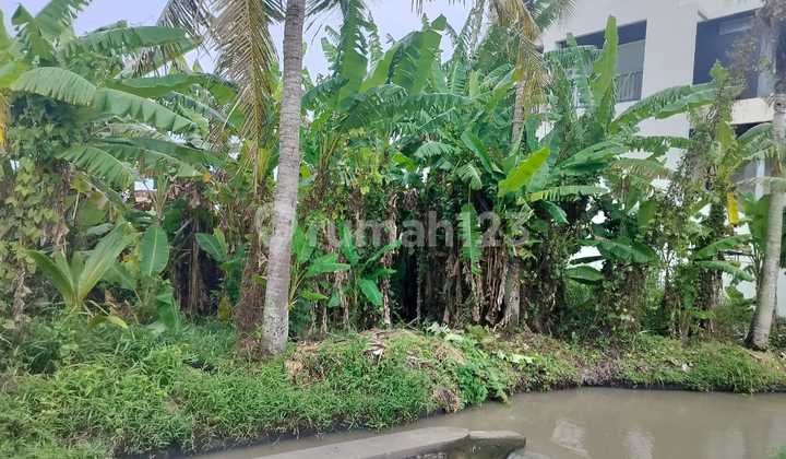 Freehold 5 Are For Sale Kedungu