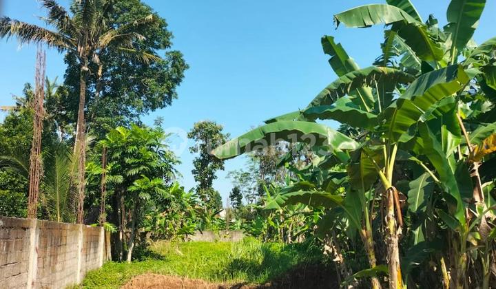 Beautiful Land Perfect For Villa - Lodtunduh Ubud Beautiful Land Perfect For Villa - Lodtunduh Ubud