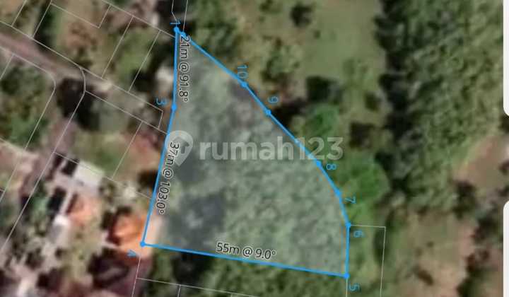 Freehold 10 Are In Kutuh