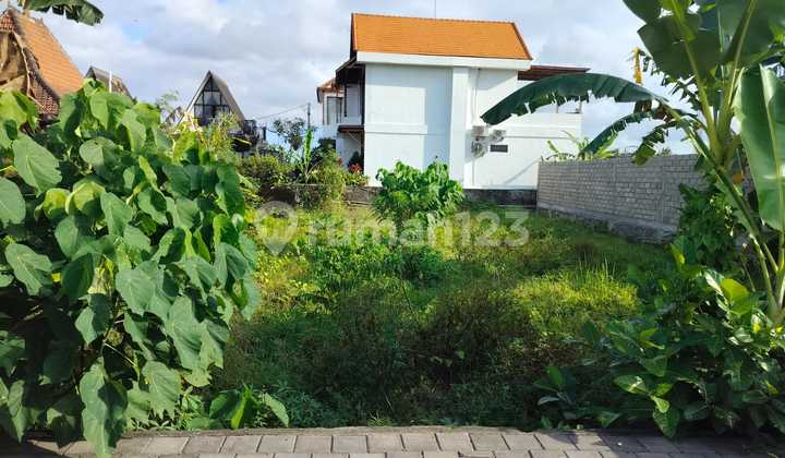 Beautiful Land For Lease - In Singapadu Ubud