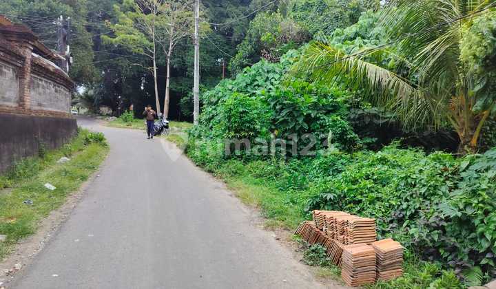 2 Are Land For Lease In Jukut Paku, Ubud