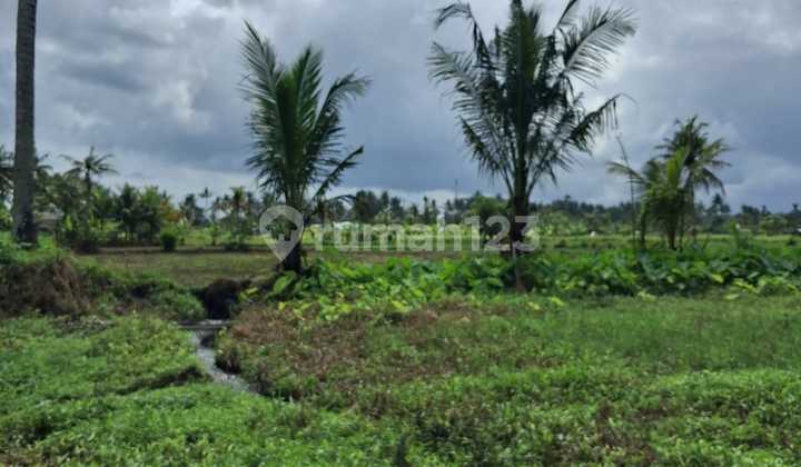 Beautiful 30 Are Perfect For Complex Villa - Ubud