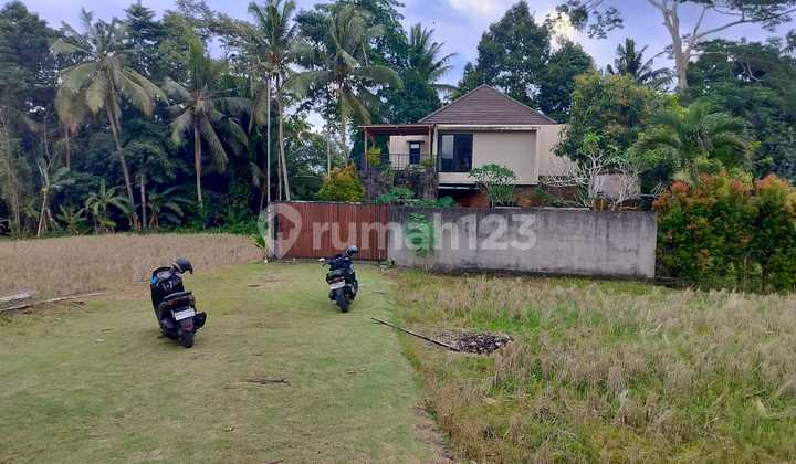 6,4 Are Land For Lease In Pejeng Kelod - Close To Central Ubud