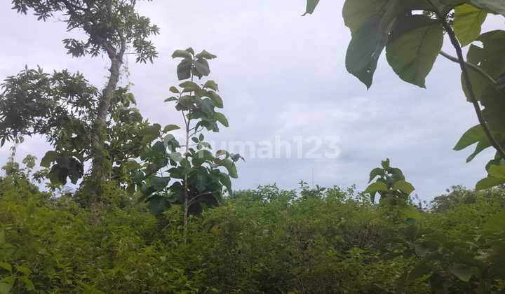 Beautiful Plot Min 3 Are For Villa - Uluwatu