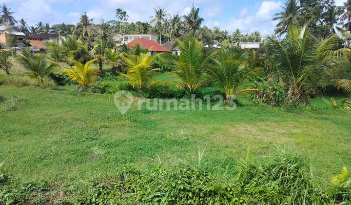 5.75 Are Leasehold Land In Andong, Peliatan - Ubud 5.75 Are Leasehold Land In Andong, Peliatan - Ubud