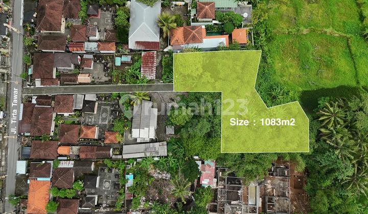 Freehold 10 Are In Quiet And Retreat Area - Ubud