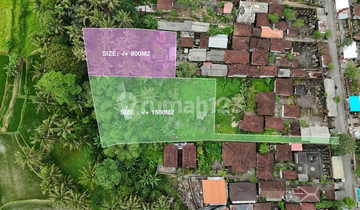Amazing Plot Perfect For Investment - Ubud