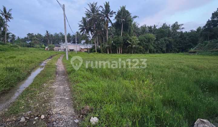 Freehold 5 Are Land Perfect For Villa - Ubud