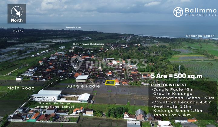 Premium 5 Are Leasehold Land In Kedungu - Steps From Jungle Padel & Beaches