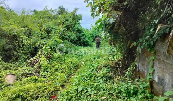 Beautiful Land Perfect For Villa - Lodtunduh Ubud