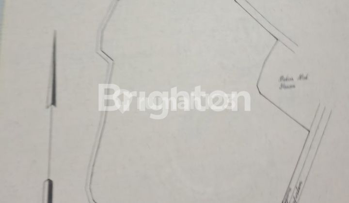 Garden land with fruit trees such as Durian, etc., in Tempuran, Pasrepan, Pasuruan.