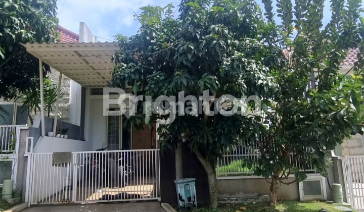 Rumah Cantik dengan Mezanine di Austinville Dieng Malang Rumah Cantik dengan Mezanine di Austinville Dieng Malang