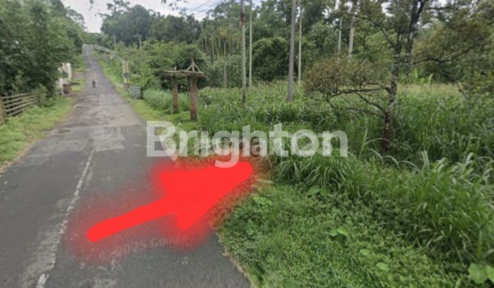 Land 40 meters wide in Kali Pucang, roadside, Tutur Pasuruan. Land 40 meters wide in Kali Pucang, roadside, Tutur Pasuruan.