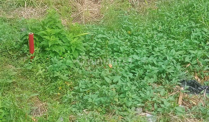 Kavling di Pedan berlokasi di Utara Polsek Pedan 2