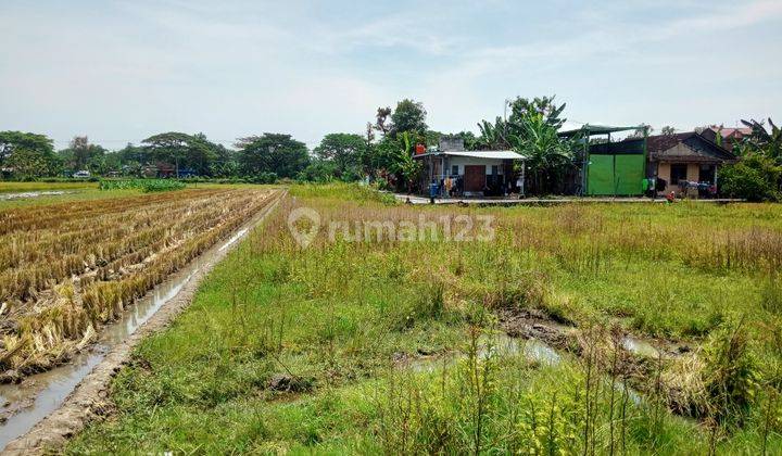 Tanah kavling pedan Utara alun alun Pedan 5
