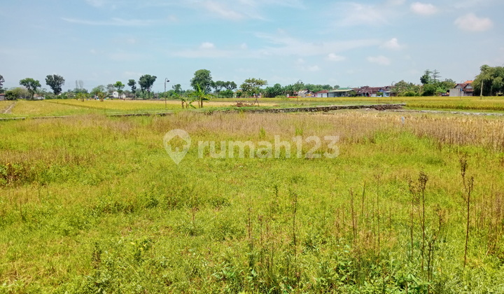 Tanah kavling Pedan Utara RS Mitra Husada Pedan 6