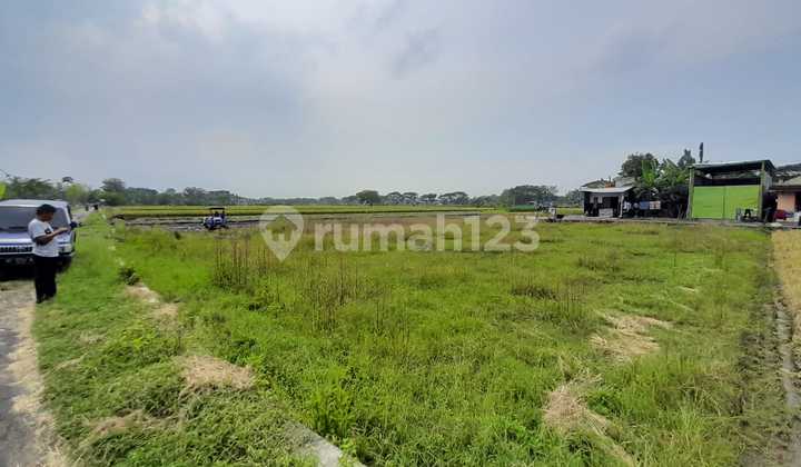 Tanah kavling Pedan lokasi Utara Pasar Pedan  9