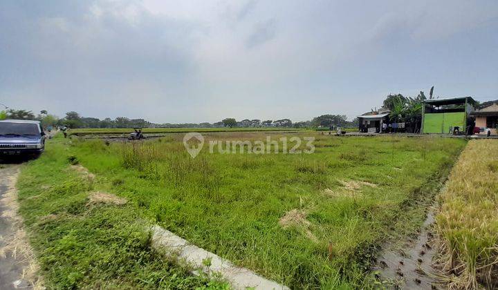 Tanah Kavling Pedan lokasi berada di dekat Pasar Pedan  3