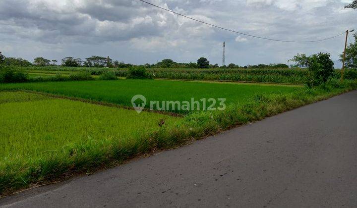 Tanah kavling murah lokasi cocok strategis  1