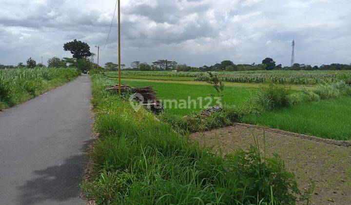 Investasi berkembang cocok untuk usaha maupun hunian 1