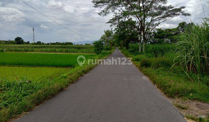Investasi berkembang cocok untuk usaha maupun hunian 3