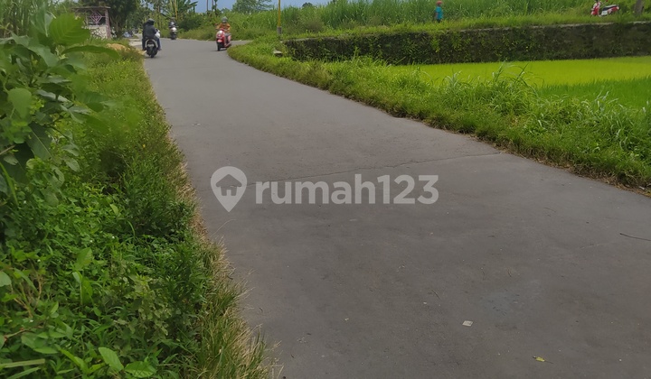 Dijual tanah kavling murah strategis terletak di dekat pemukiman 5