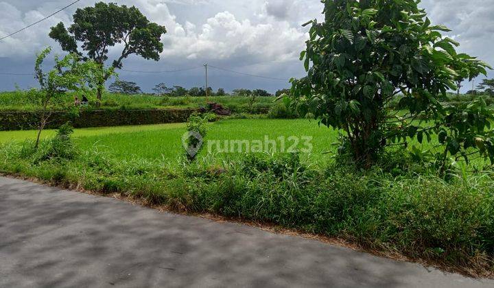 Dijual tanah kavling murah strategis terletak di dekat pemukiman 8