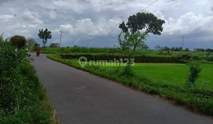 Dijual tanah kavling murah strategis terletak di dekat pemukiman 9