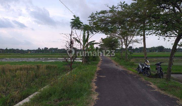 Ta Tanah di Gondangan murah strategis cocok untuk usaha  1