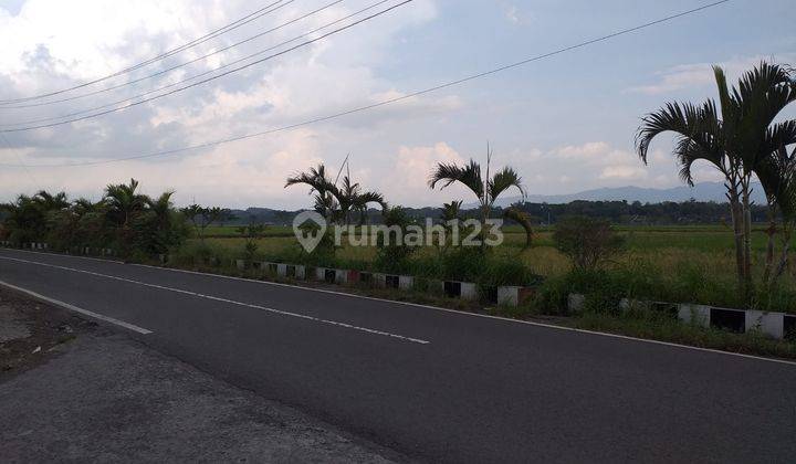 Beli tanah untuk investasi menguntungkan 3