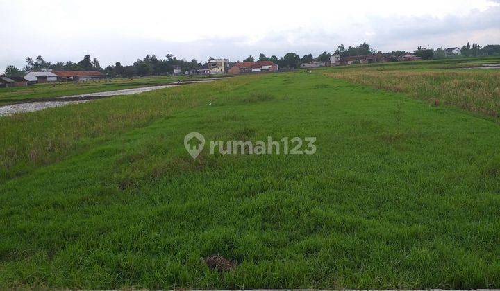 Di jual tanah kavling belakang pasar kraguman  4