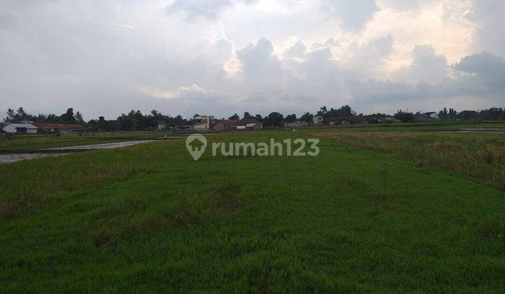 Di jual tanah kavling belakang pasar kraguman  5