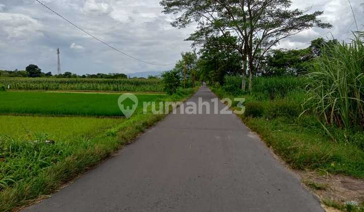 Di jual tanah kavling belakang pasar kraguman  10
