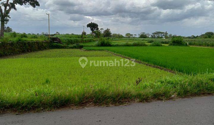Tanah kavling murah mulai 150 jt an lokasi strategis 3