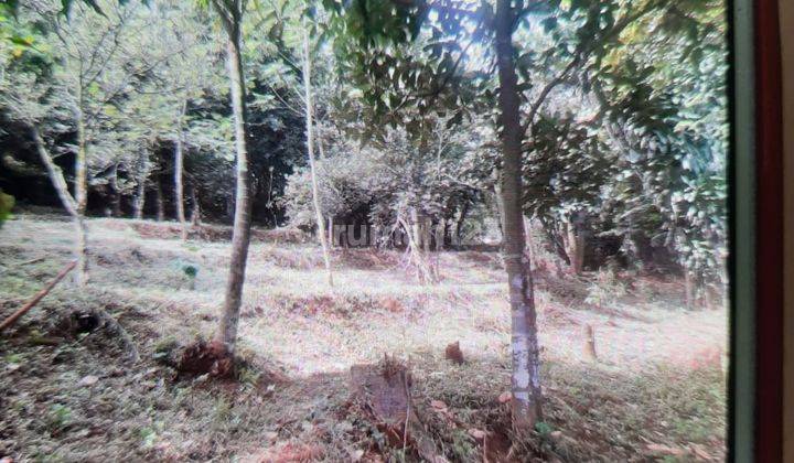 jual Tanah kebun murah  di jalan Radar Kampung Sindang Sari Desa Laksana Mekar  1