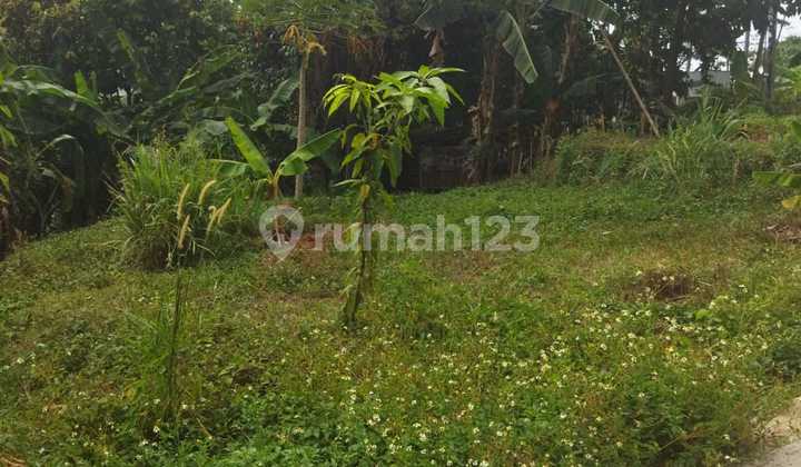 Tanah Kavling Area Sukmajaya Dekat Jakarta Global University Tanah Kavling Area Sukmajaya Dekat Jakarta Global University