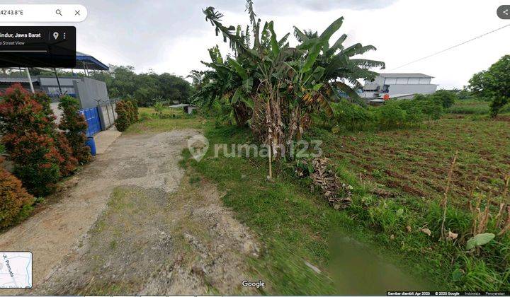 Dijual Tanah Area Bogor Cocok Untuk Bangun Cluster Atau Perumahan 2