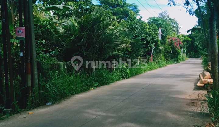 Tanah Luas di Cibentang Muara Ciseeng - Cocok untuk Investasi